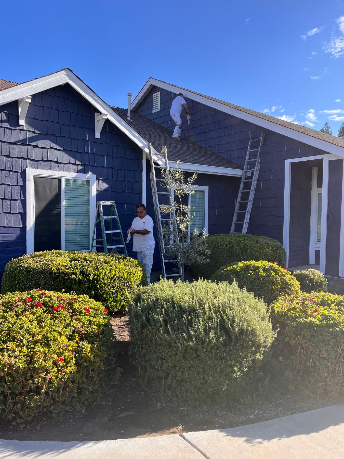  for Fred's Painting in Turlock, CA